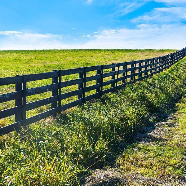 A Wooden Fence Surrounds a Grassy Field on a Sunny Day — Osborne Fencing in Bundanoon, NSW