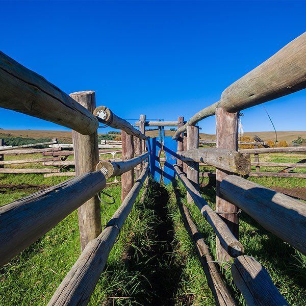 A Wooden Fence in a Field With a Blue Sky — Osborne Fencing in Bundanoon, NSW