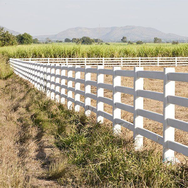 A White Wooden Fence Next to a Cane Field — Osborne Fencing in Bowral, NSW