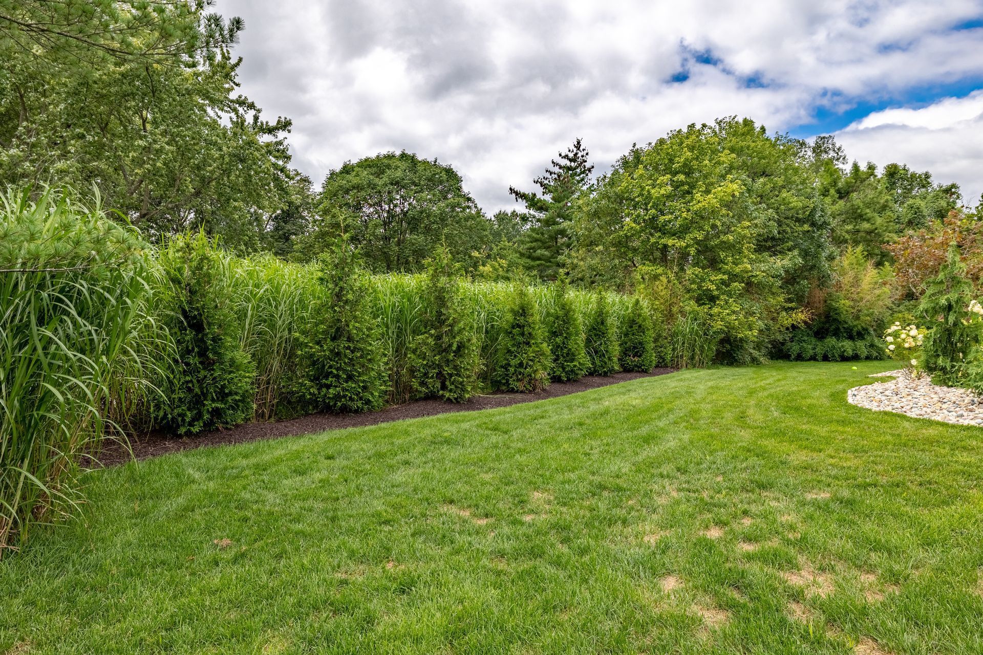 A lush green lawn surrounded by trees and bushes on a cloudy day.