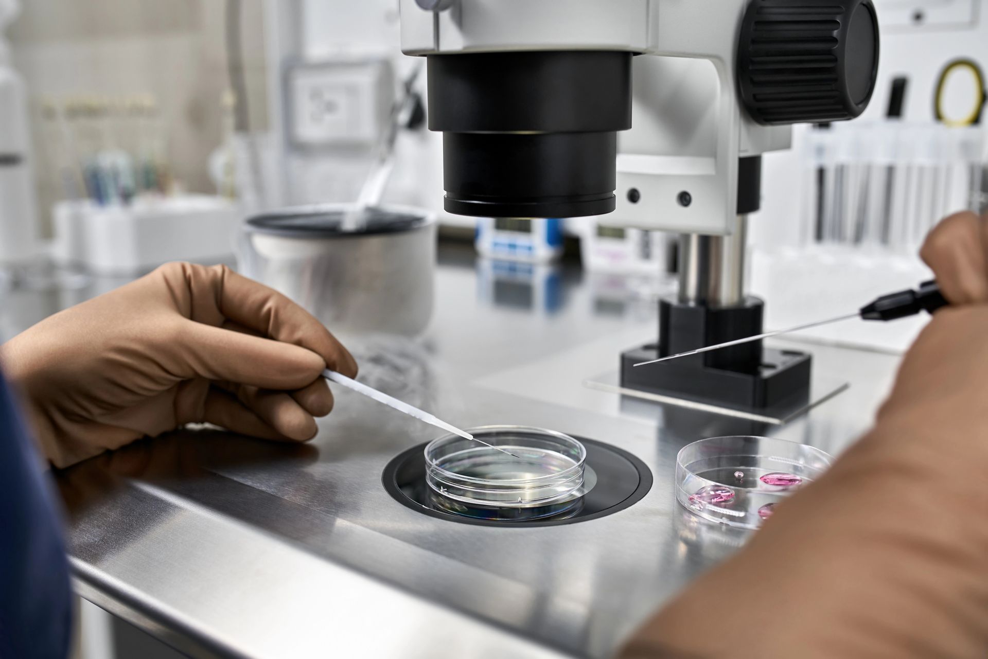 scientist freezing an egg for fertility treatment