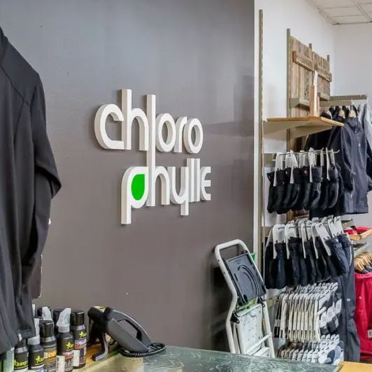 Image du logo de la boutique chlorophylle sur un mur gris.