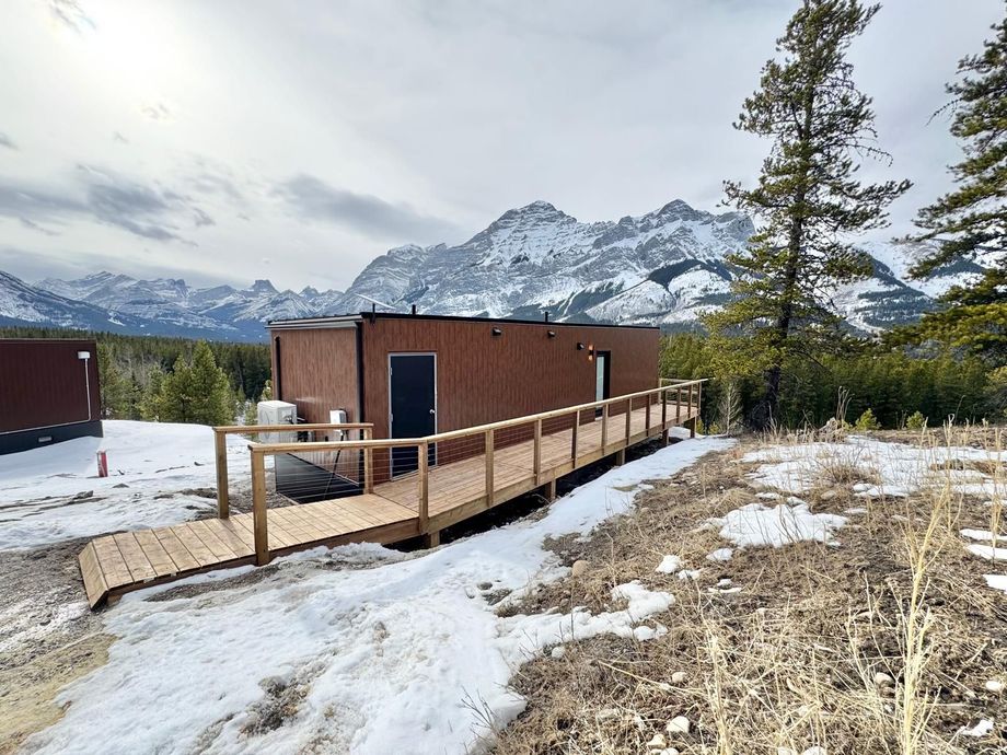 Snowy mountain cabin with wooden ramp, brown siding, and a pine tree under an overcast sky.
