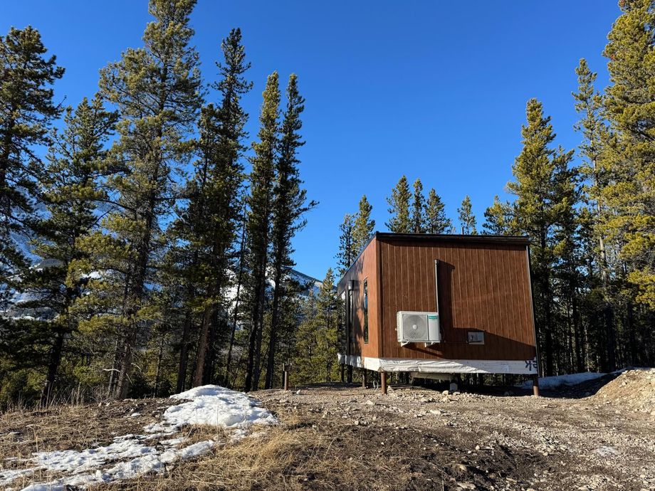 Small wooden cabin in a snowy pine forest under a clear blue sky.