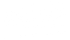 Blank white image with no visible content