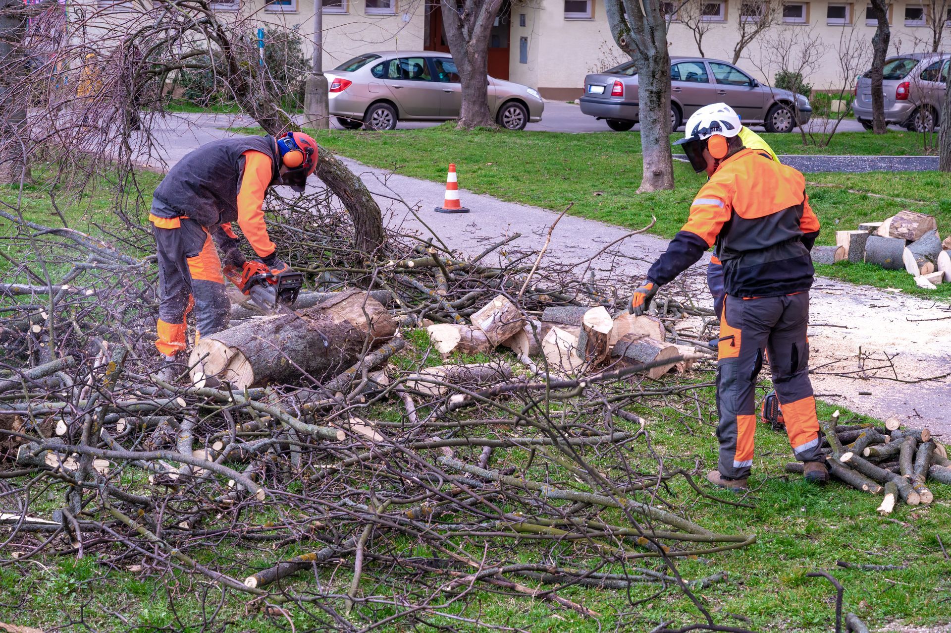 Two workers in orange safety gear cut up fallen branches with chainsaws during a tree removal job.
