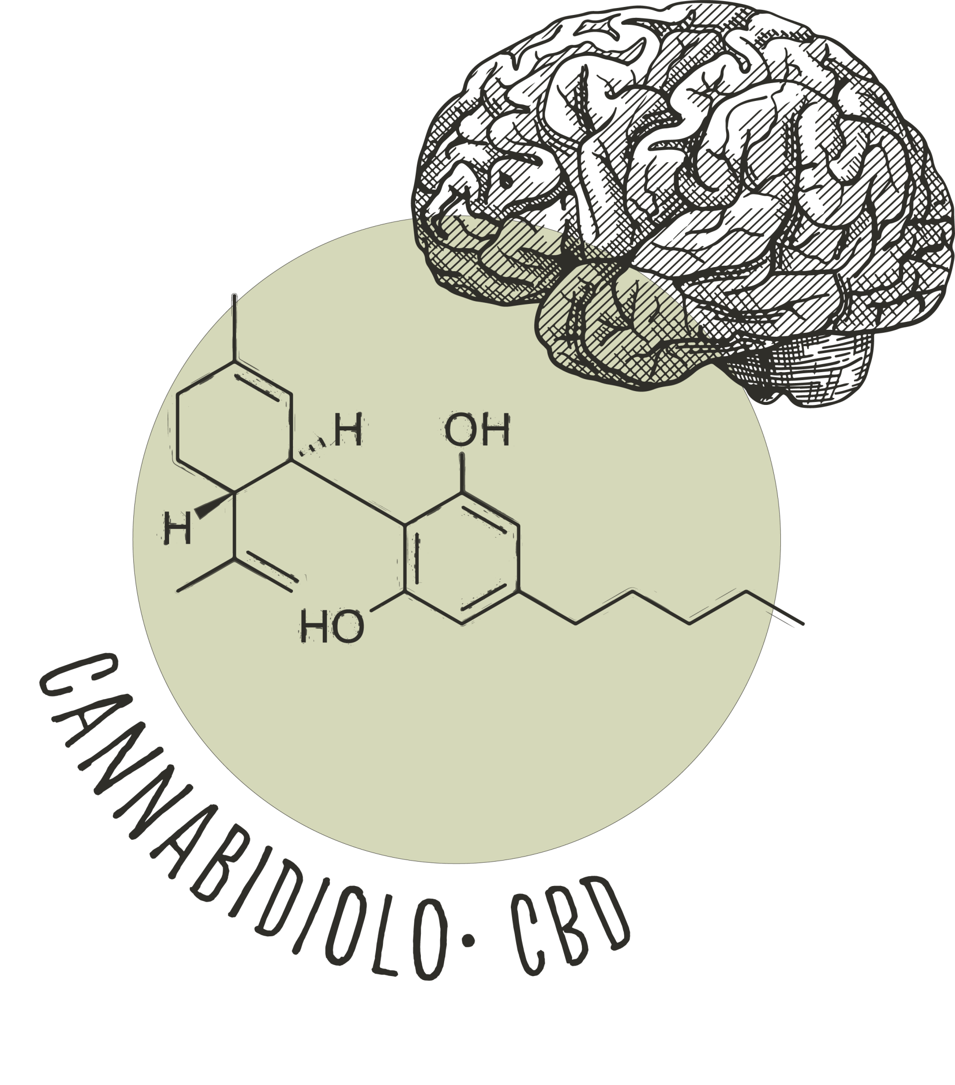 Cannabidiolo o CBD a cosa serve? quanto ne devo prendere? che cosa fa?