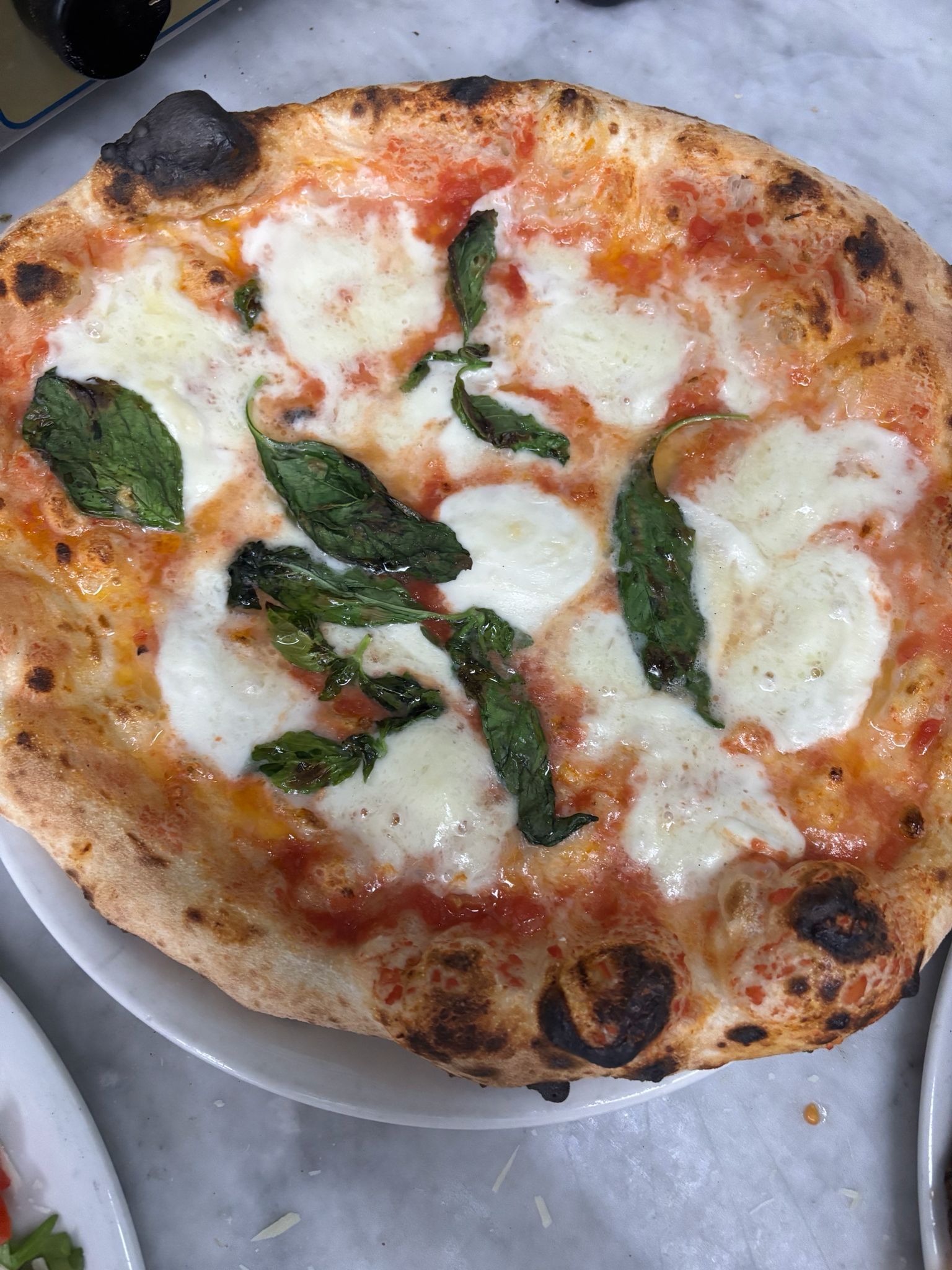 Pizza Margherita con mozzarella fusa, foglie di basilico e crosta bruciacchiata su un vassoio di metallo.