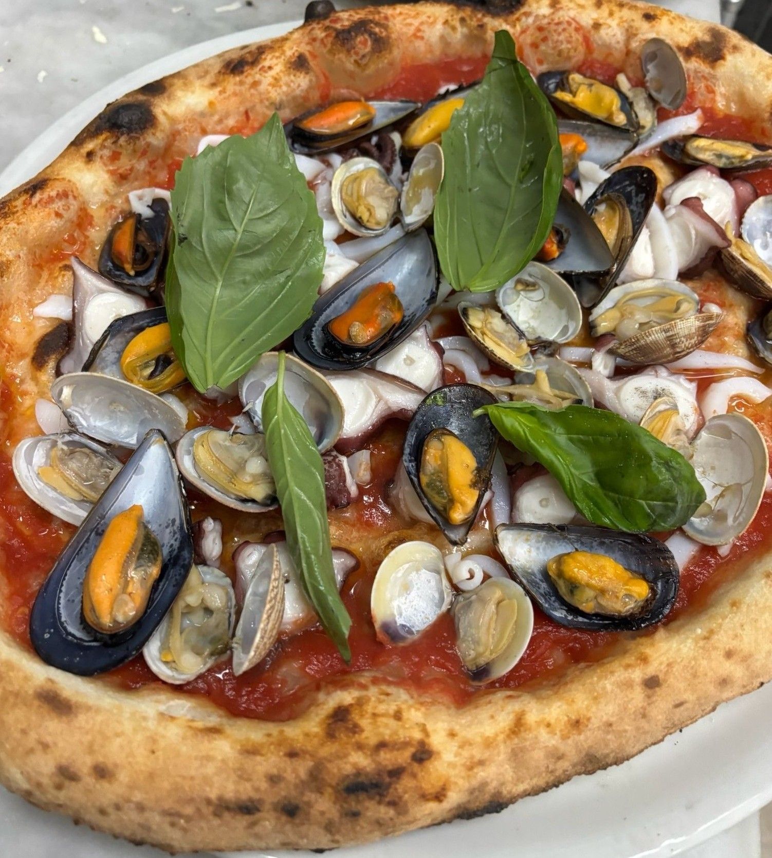 Pizza napoletana condita con vongole, cozze, foglie di basilico e salsa di pomodoro su un piatto