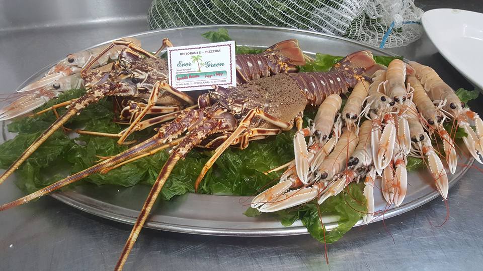 Piatto di gamberi e scampi cotti disposti su ghiaccio con guarnizione verde in un'esposizione di frutti di mare