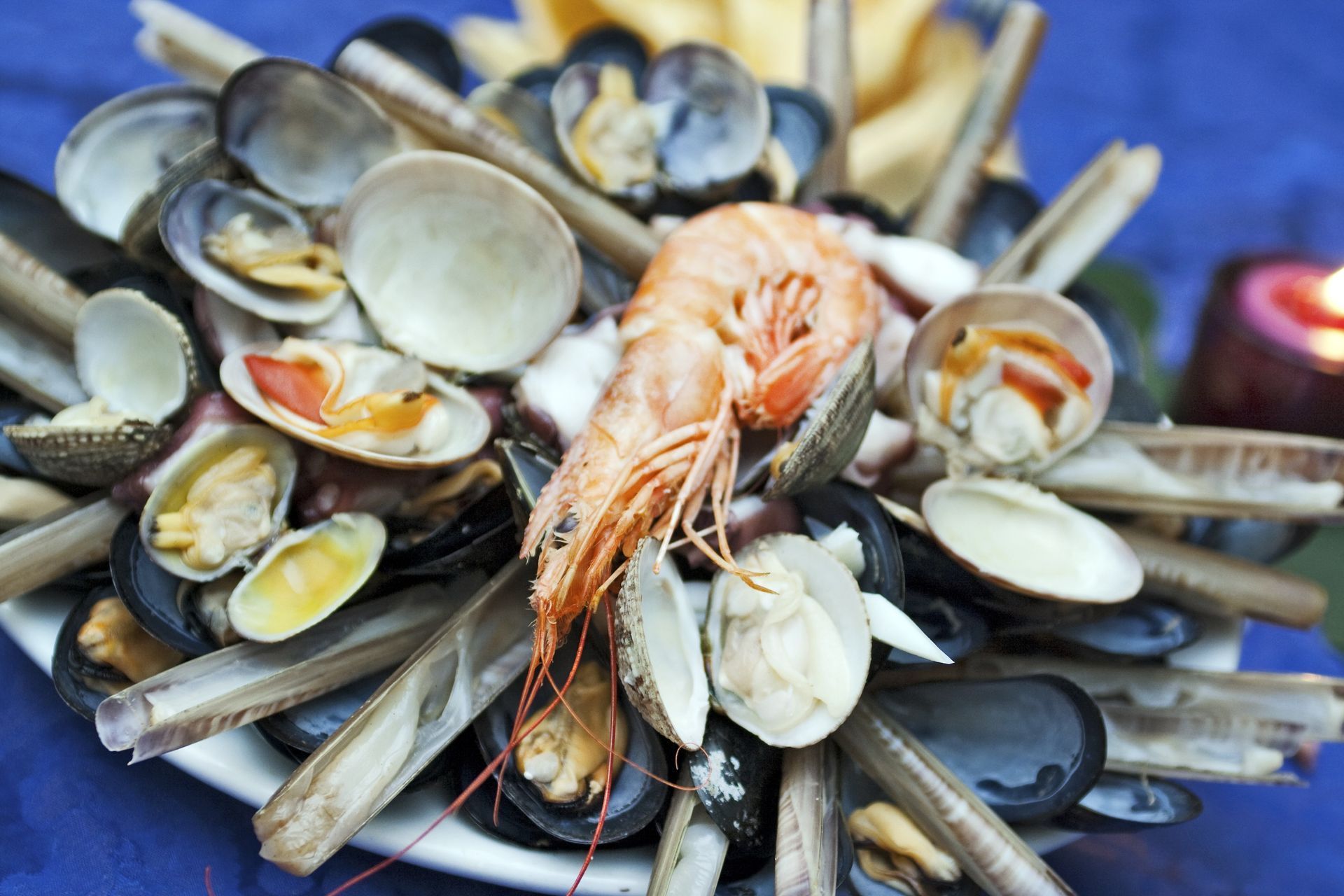 Vongole assortite e un gambero disposti su un vassoio sopra una tovaglia blu.