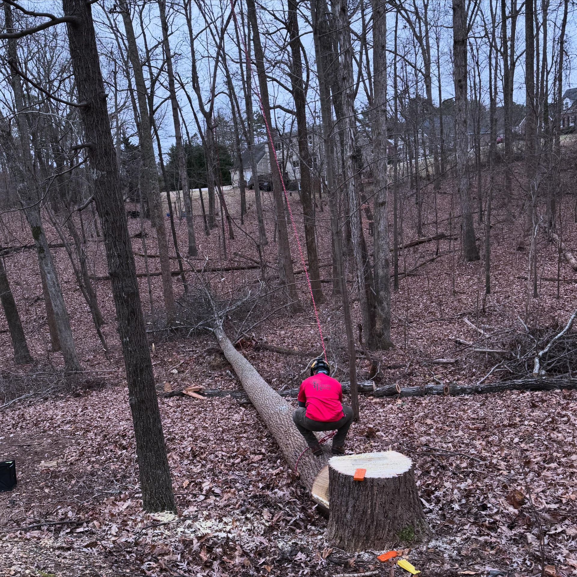 A man in a red shirt is squatting on a tree stump in the woods.