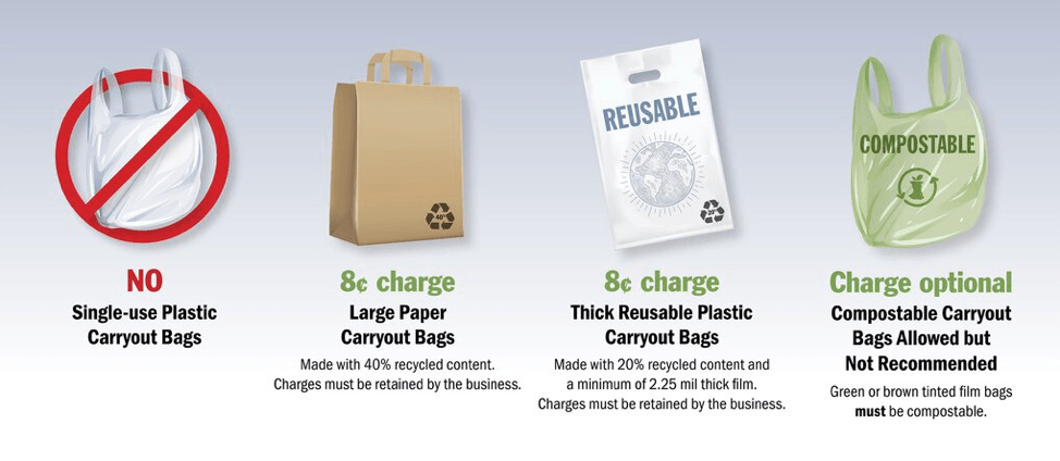 Single Use Bag Ban