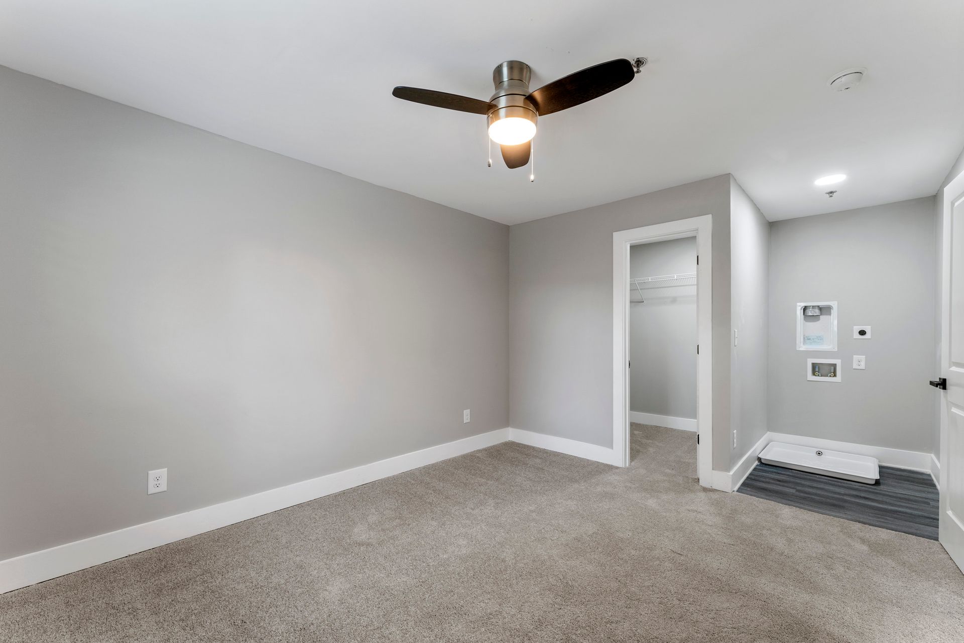 Empty gray bedroom with carpet, ceiling fan, open closet, and hallway entrance