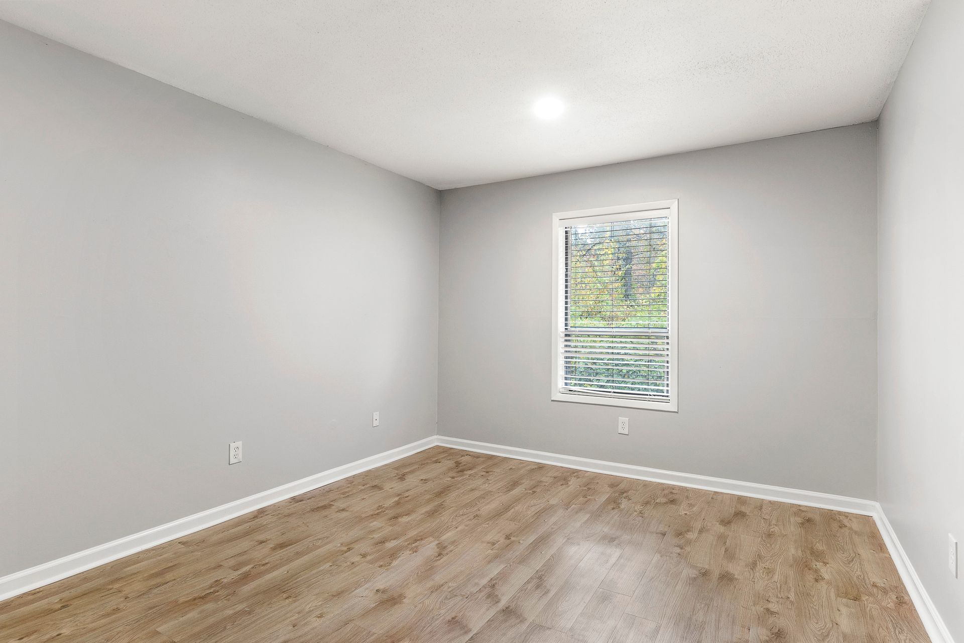 Empty gray bedroom with hardwood floor and a single window.