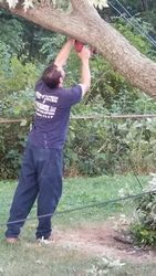 A man is cutting a tree branch with a chainsaw.