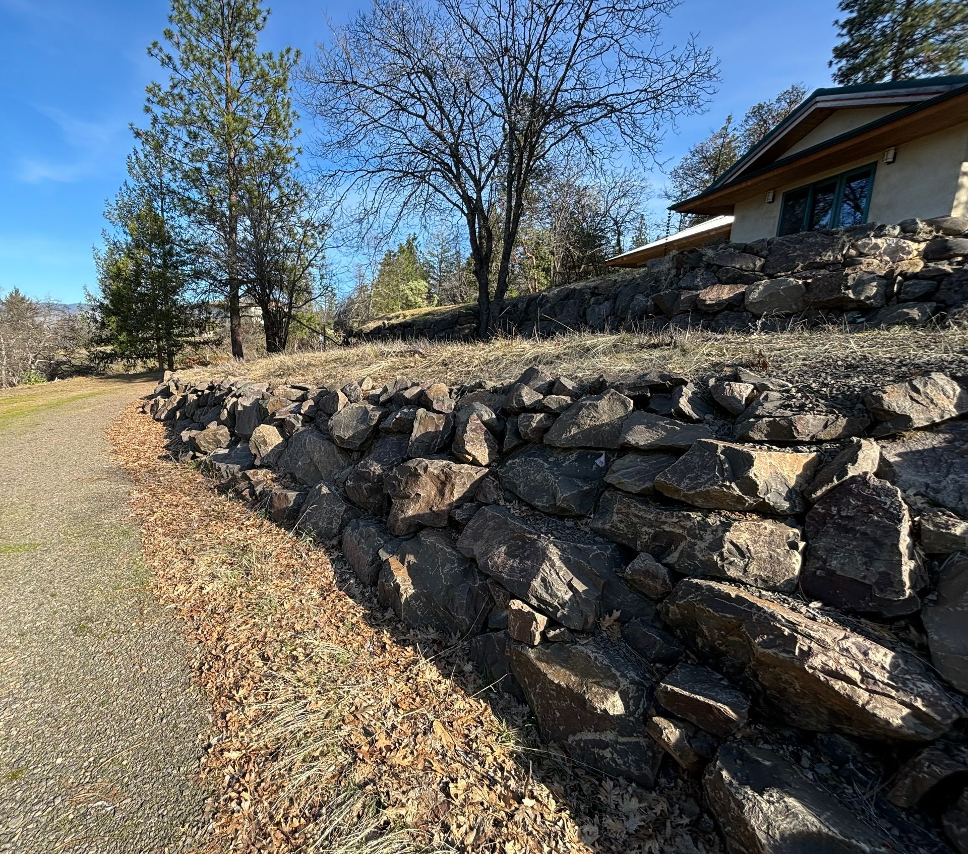 A retaining wall is creating landscaping features around a tree in Ashland, Oregon