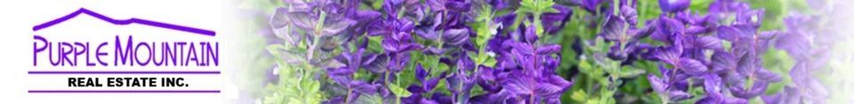 Purple Mountain