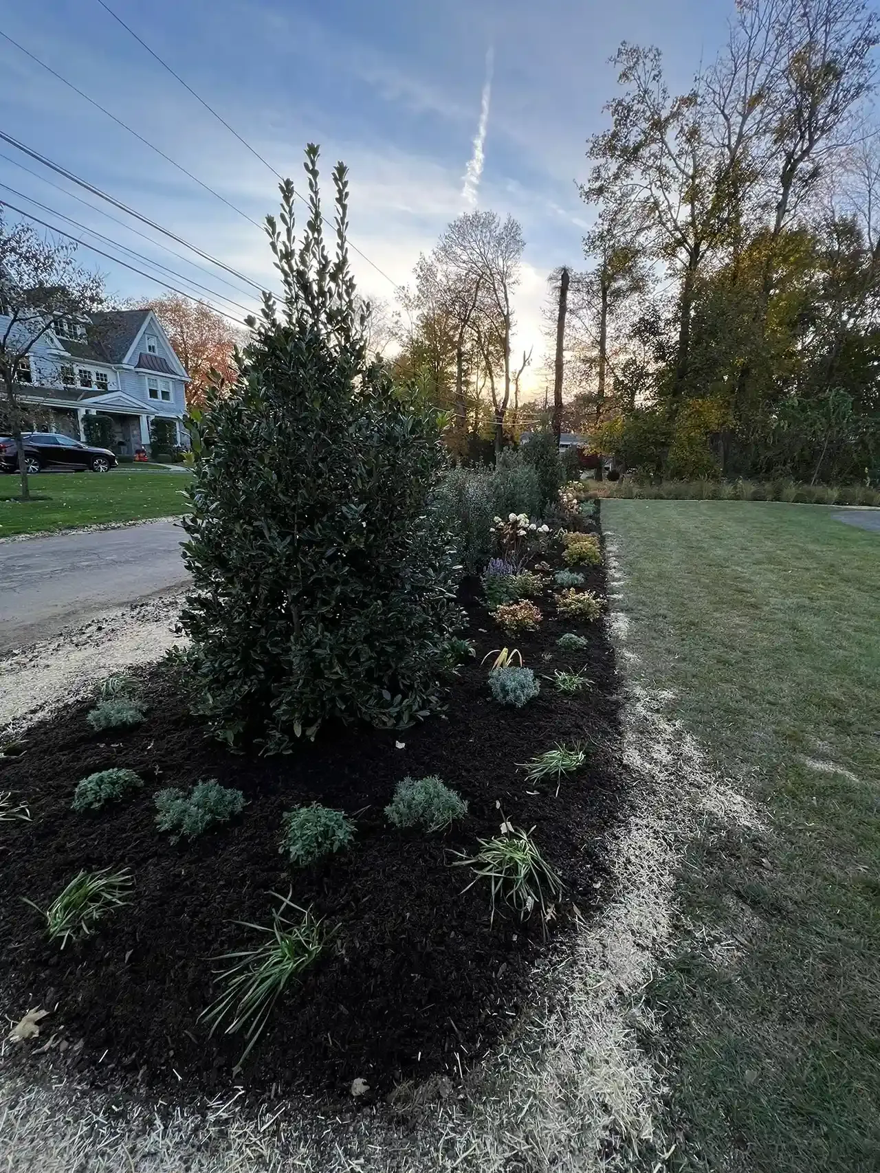 Newly planted garden bed with mulch, shrubs, and small plants along a road.