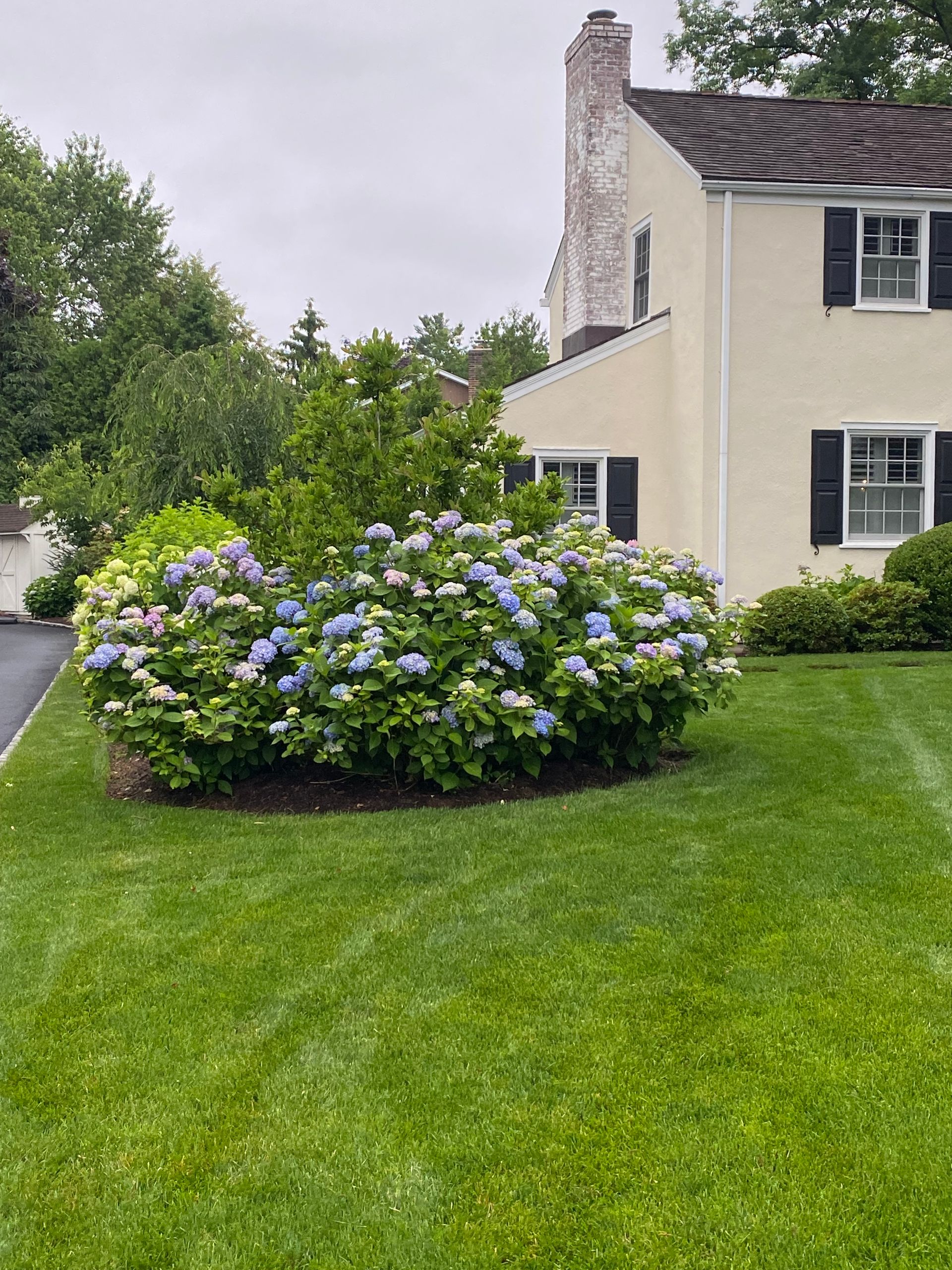 Landscape Maintenance