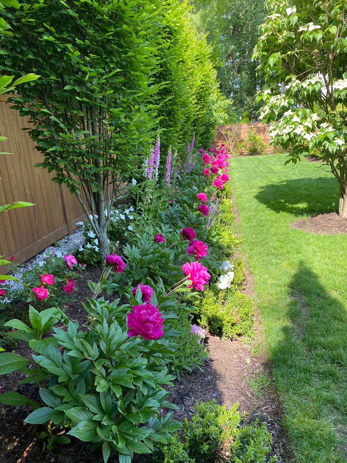 Landscape Maintenance