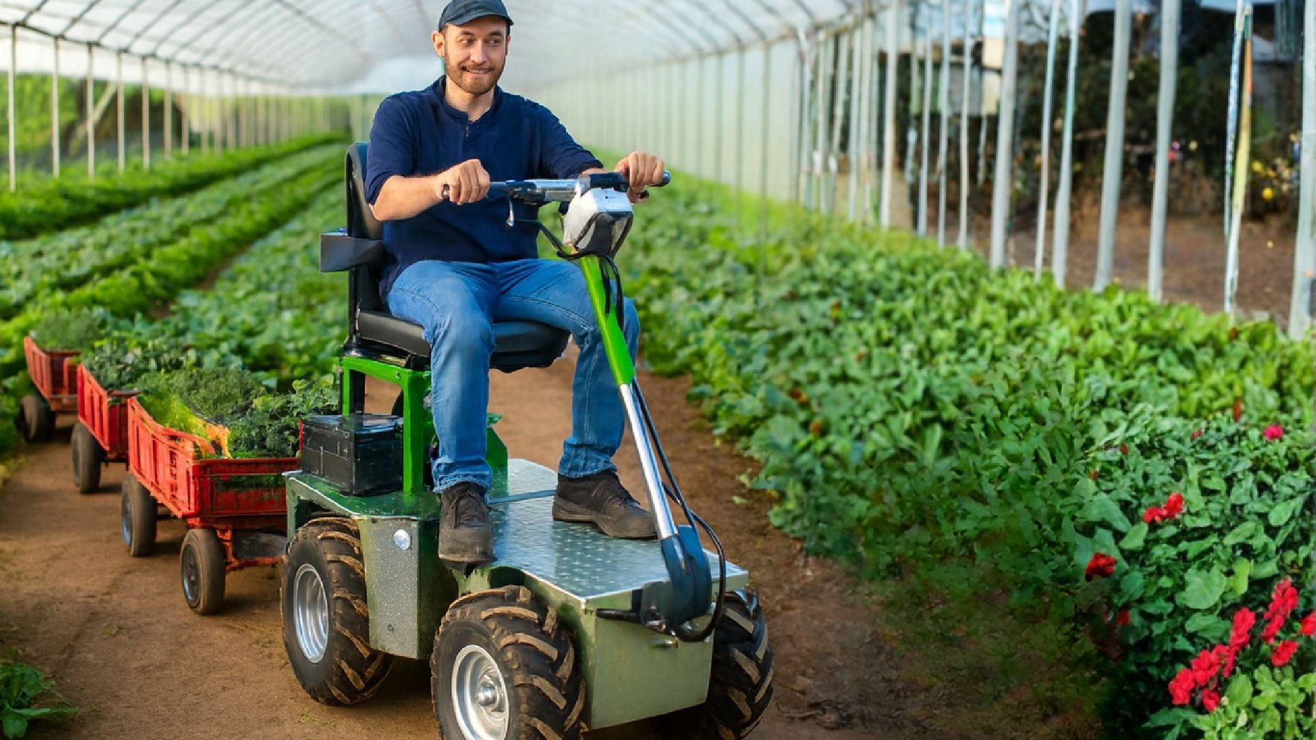 agricoltura Mover Movimentatore elettrico MV.DAN.01 BCM tech Cuneo