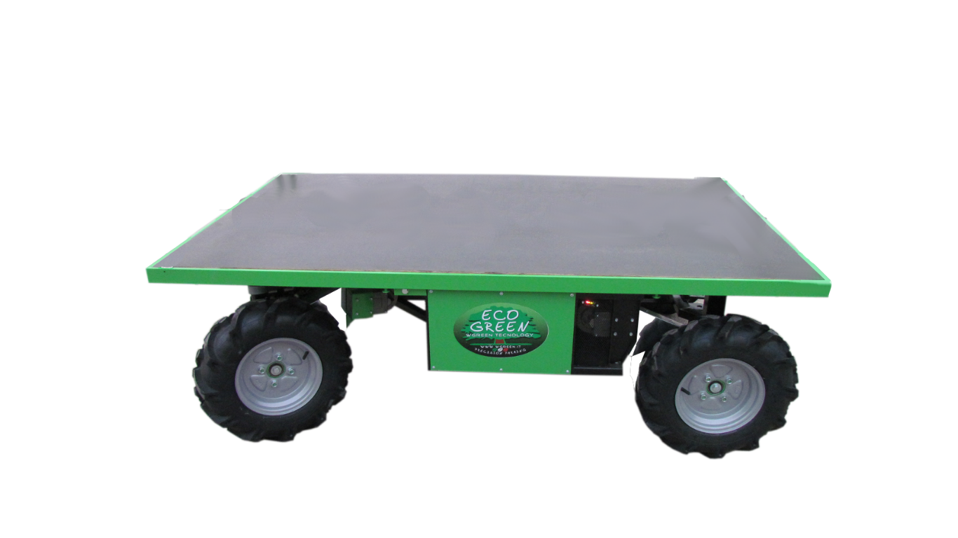 DT.4BIO.01