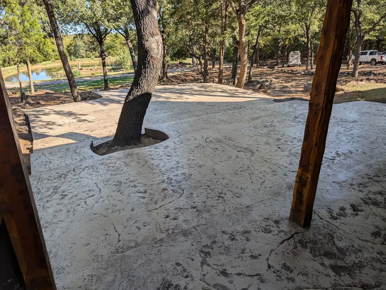 Shaded wooded area with sandy ground and a small fenced pool in the background