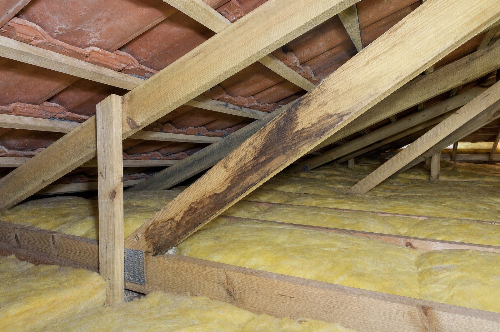 Water staining and damaged roof timber found in a roof space and recorded in a building and pest inspection report
