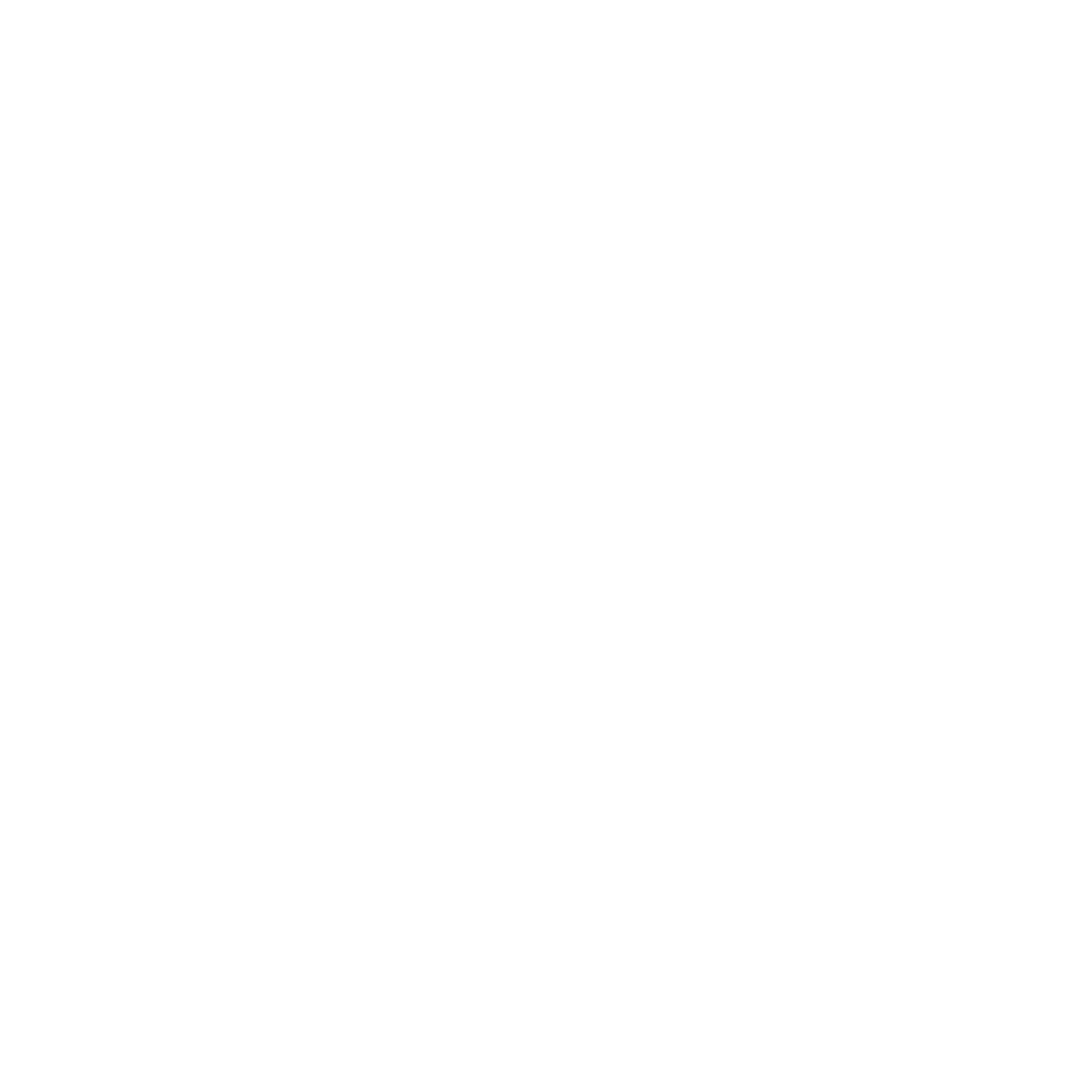 ANE Concrete Inc log