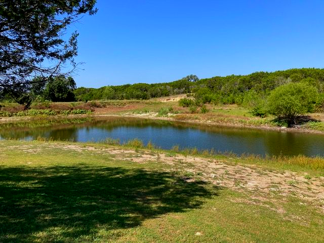 Quiet pond bordered by grass and trees under a clear blue sky