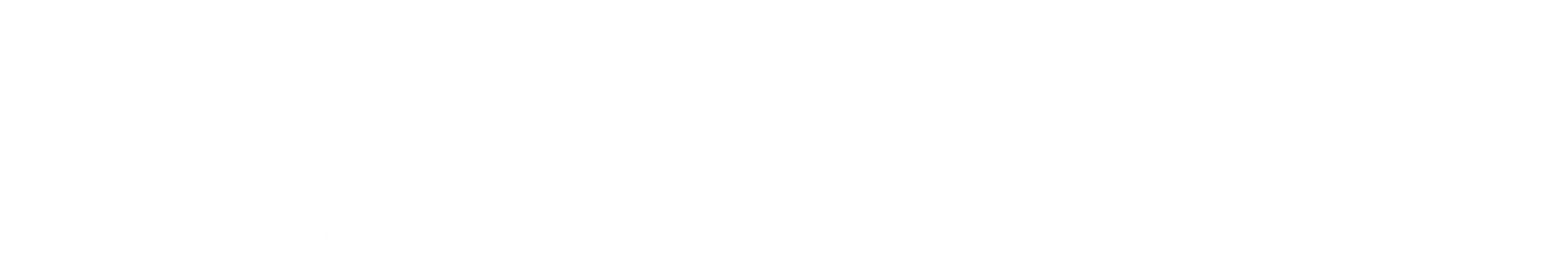 Light Logo