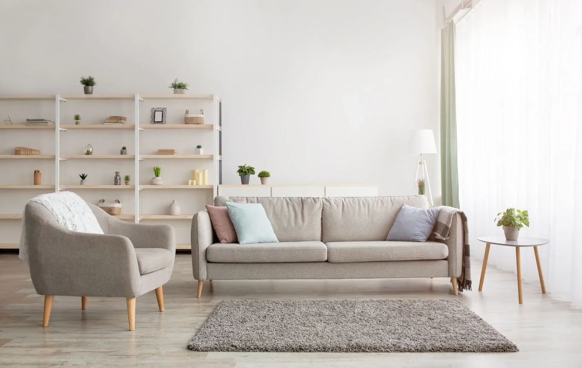 Bright living room with gray sofa, armchair, shelving, rug, and a plant by a sunlit window. Bright living room with gray sofa, armchair, shelving, rug, and a plant by a sunlit window.