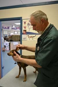 doctor and pet 1