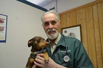 doctor and pet 5