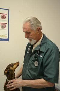 doctor and pet 3
