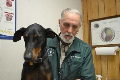 doctor and pet 7