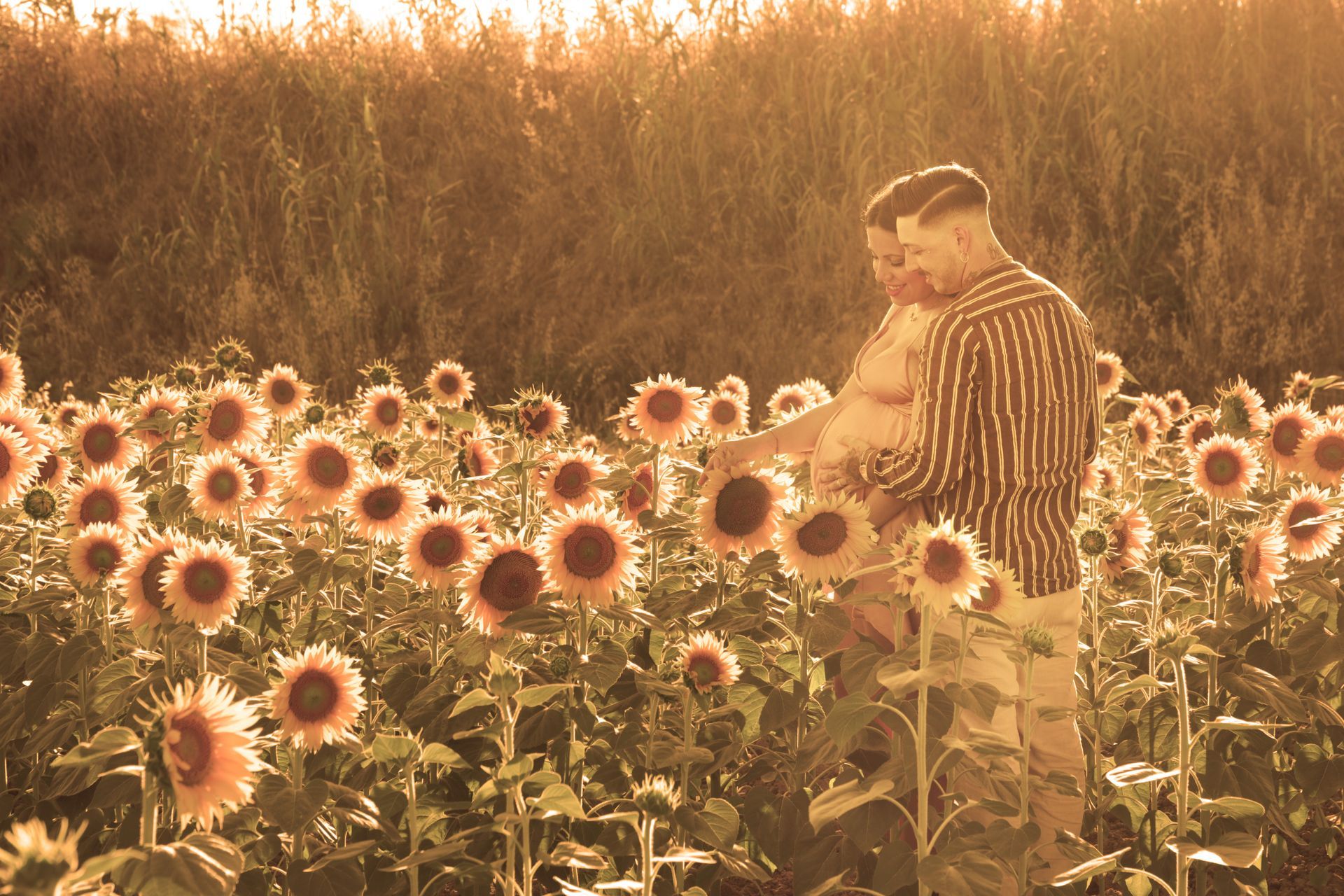 Coppia in campo di girasoli