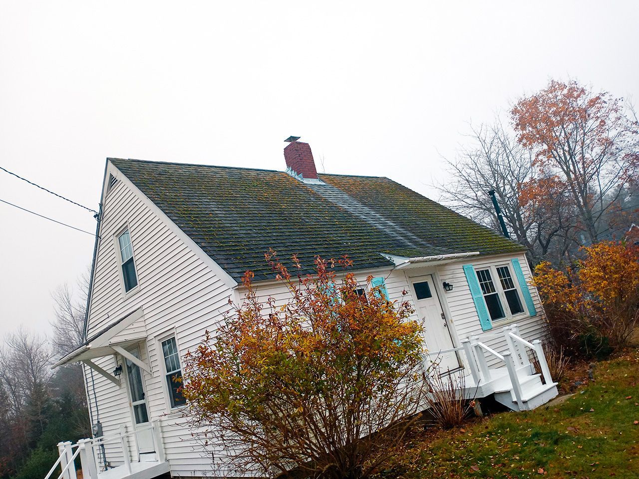 A white house with a mossy roof and blue shutters