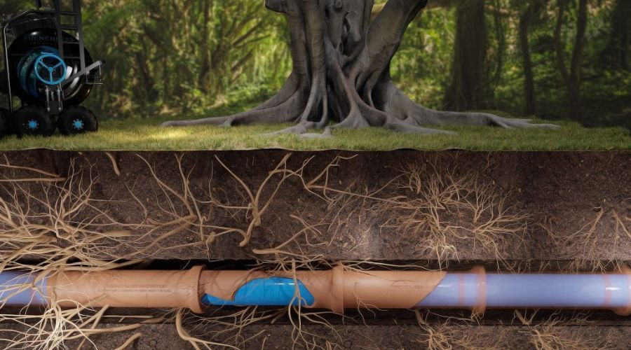Trenchless Pipe Bursting to repair from roots.