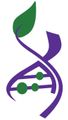 A purple DNA double helix turning into a green leaf at the top, with green circles representing molecules on the rungs.