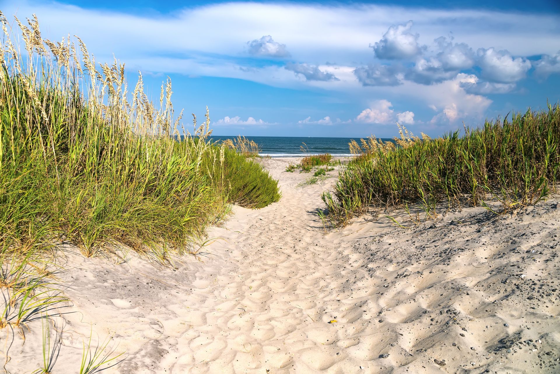 Sunny sandy beach path between tall grasses leading to the ocean under a blue sky with clouds