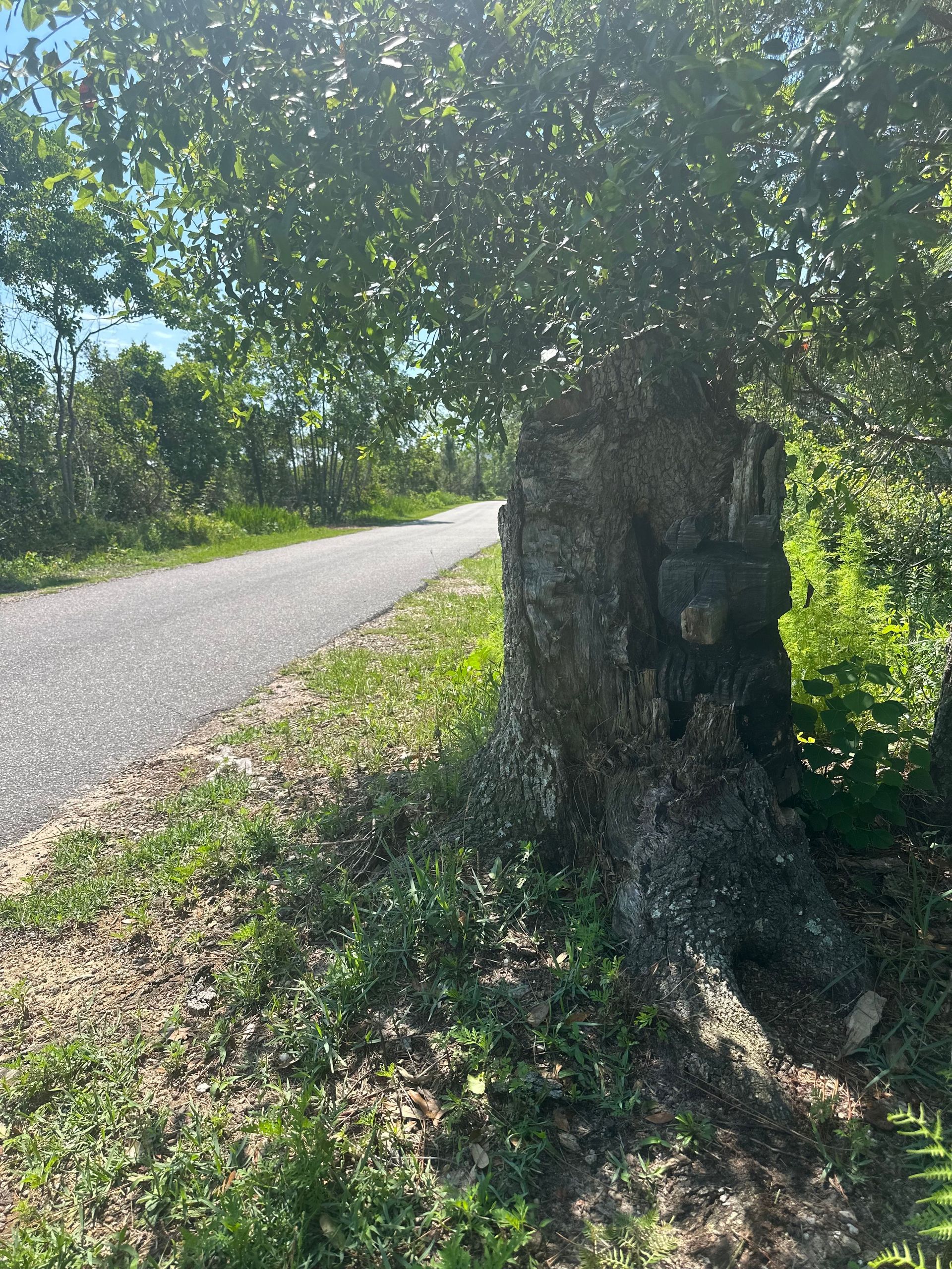 A tree stump is sitting on the side of a road.