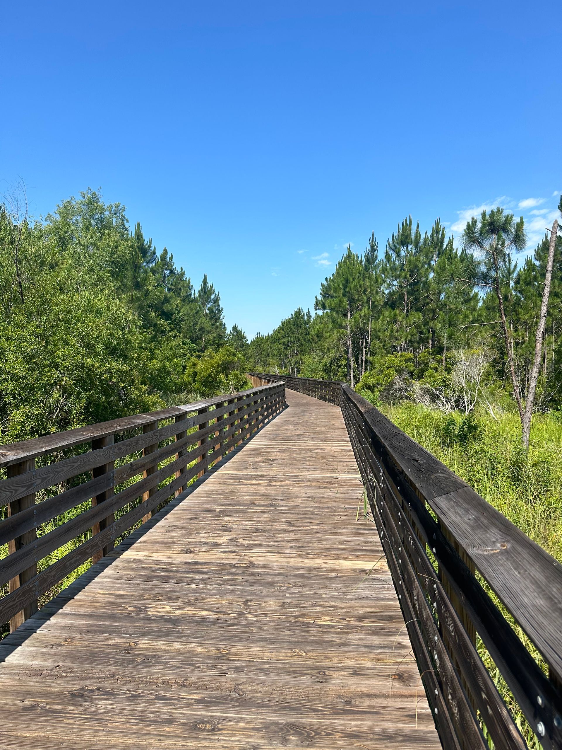 A wooden walkway leading to a forest on a sunny day.