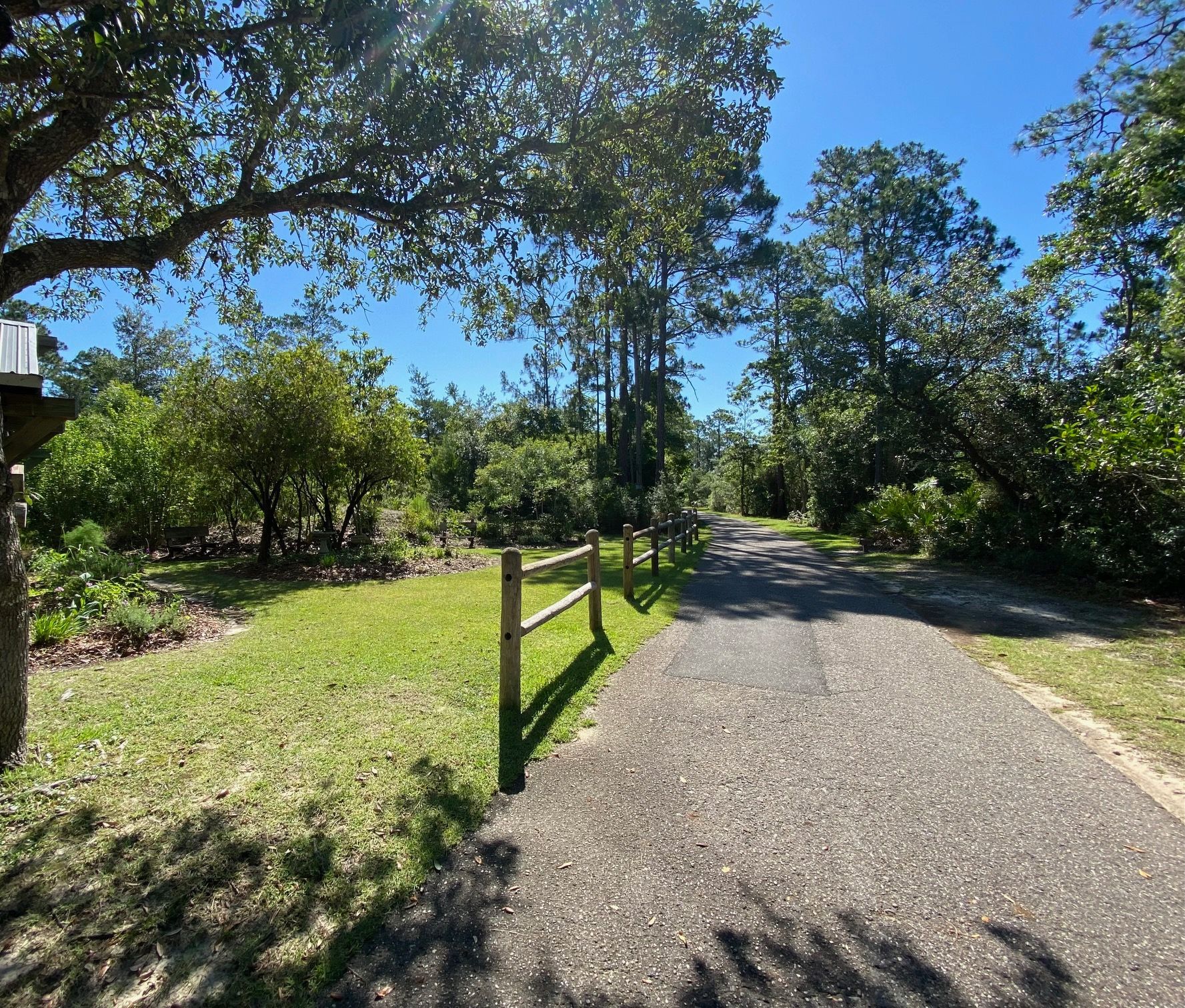A path with a wooden fence and trees on both sides