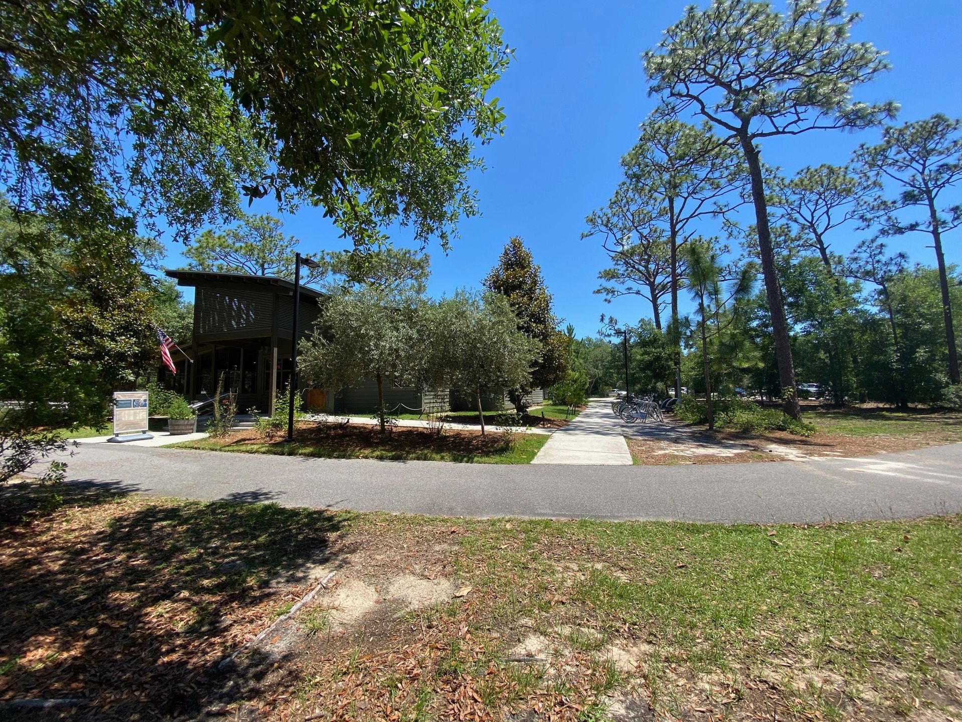 A house is surrounded by trees and grass on a sunny day