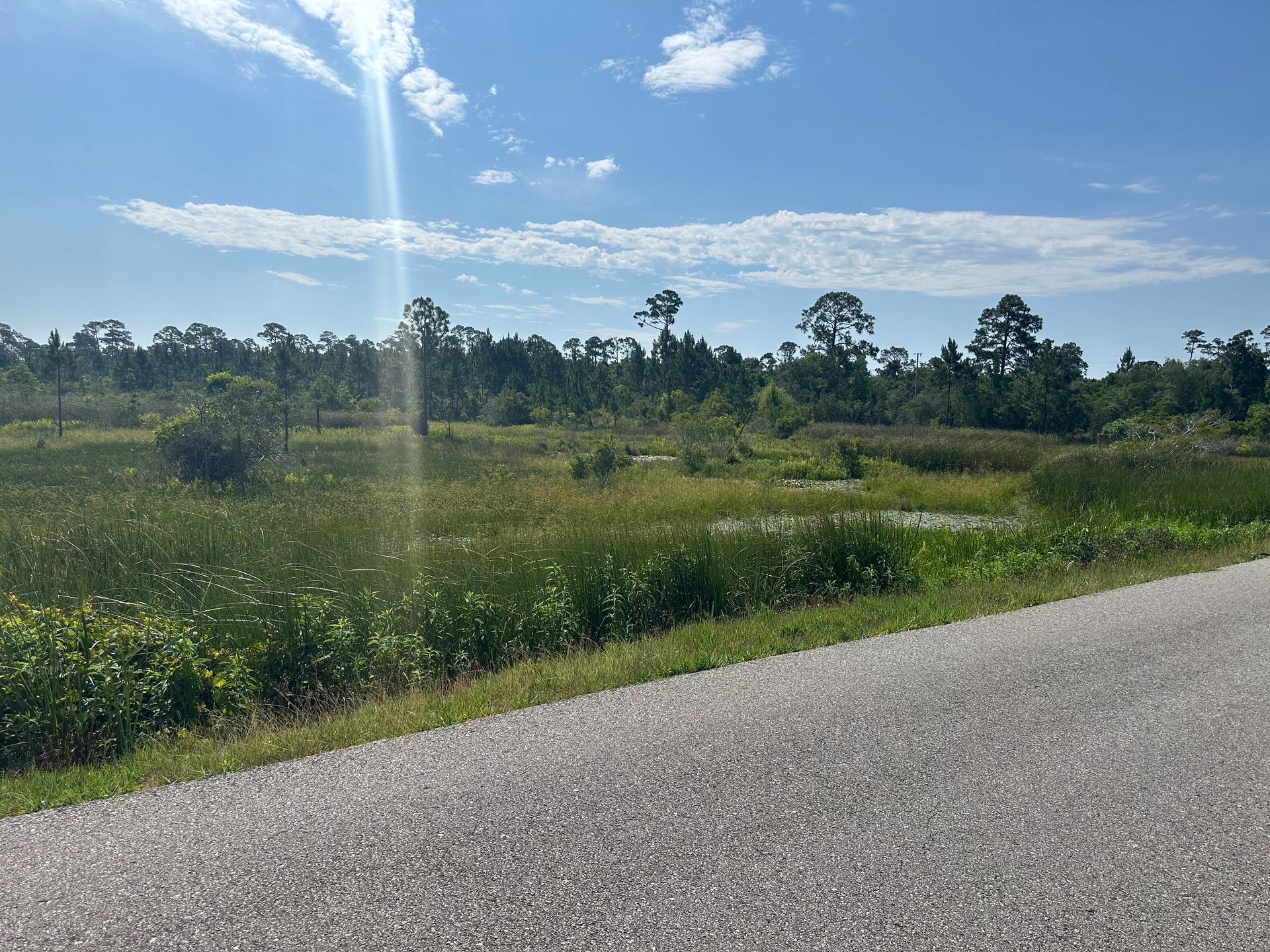 A trail going through a grassy field with trees in the background.