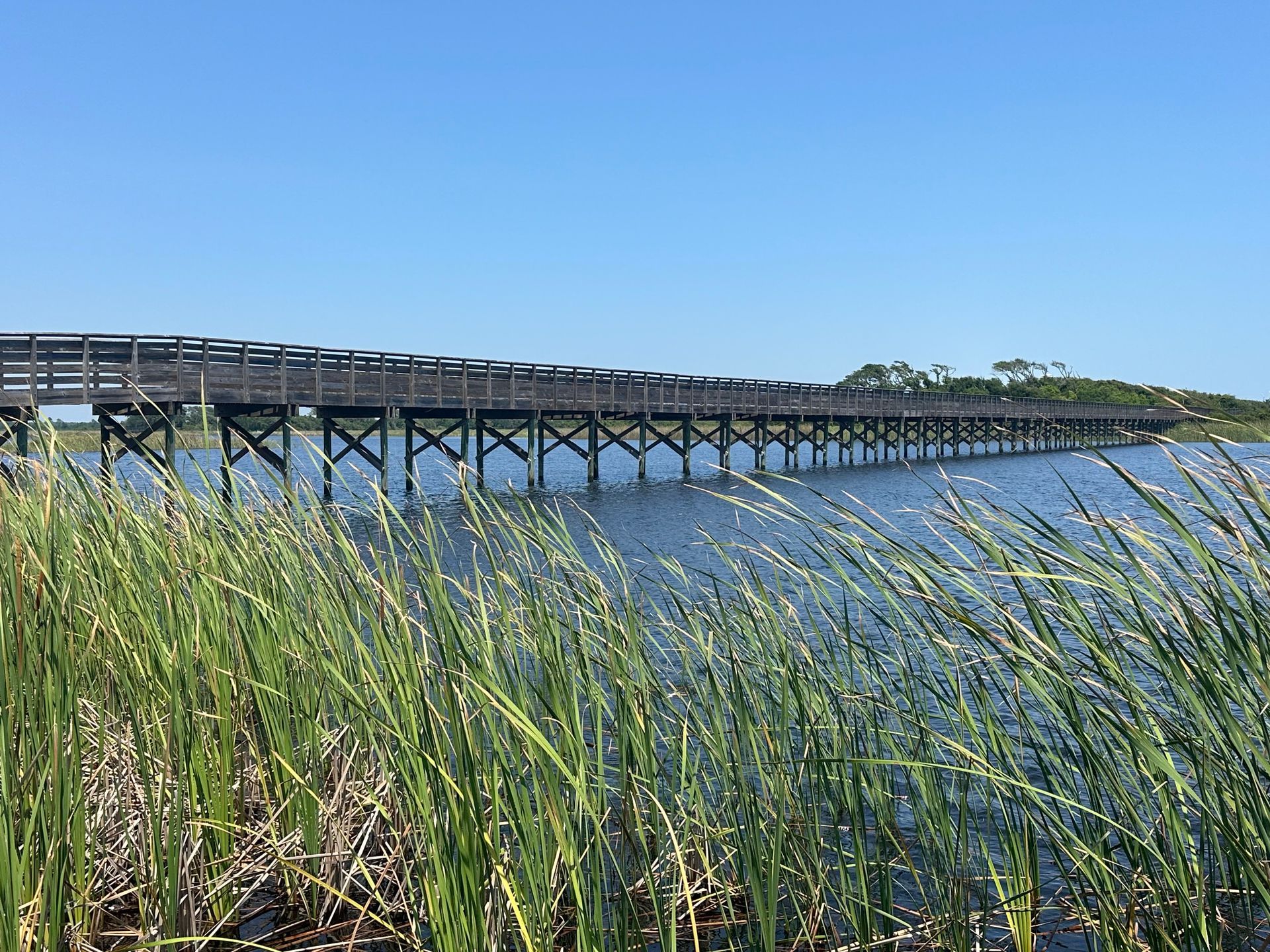 A wooden bridge over a body of water with tall grass in the foreground.