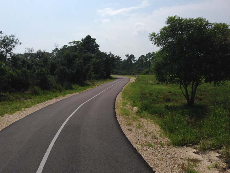 A trail with trees on both sides of it
