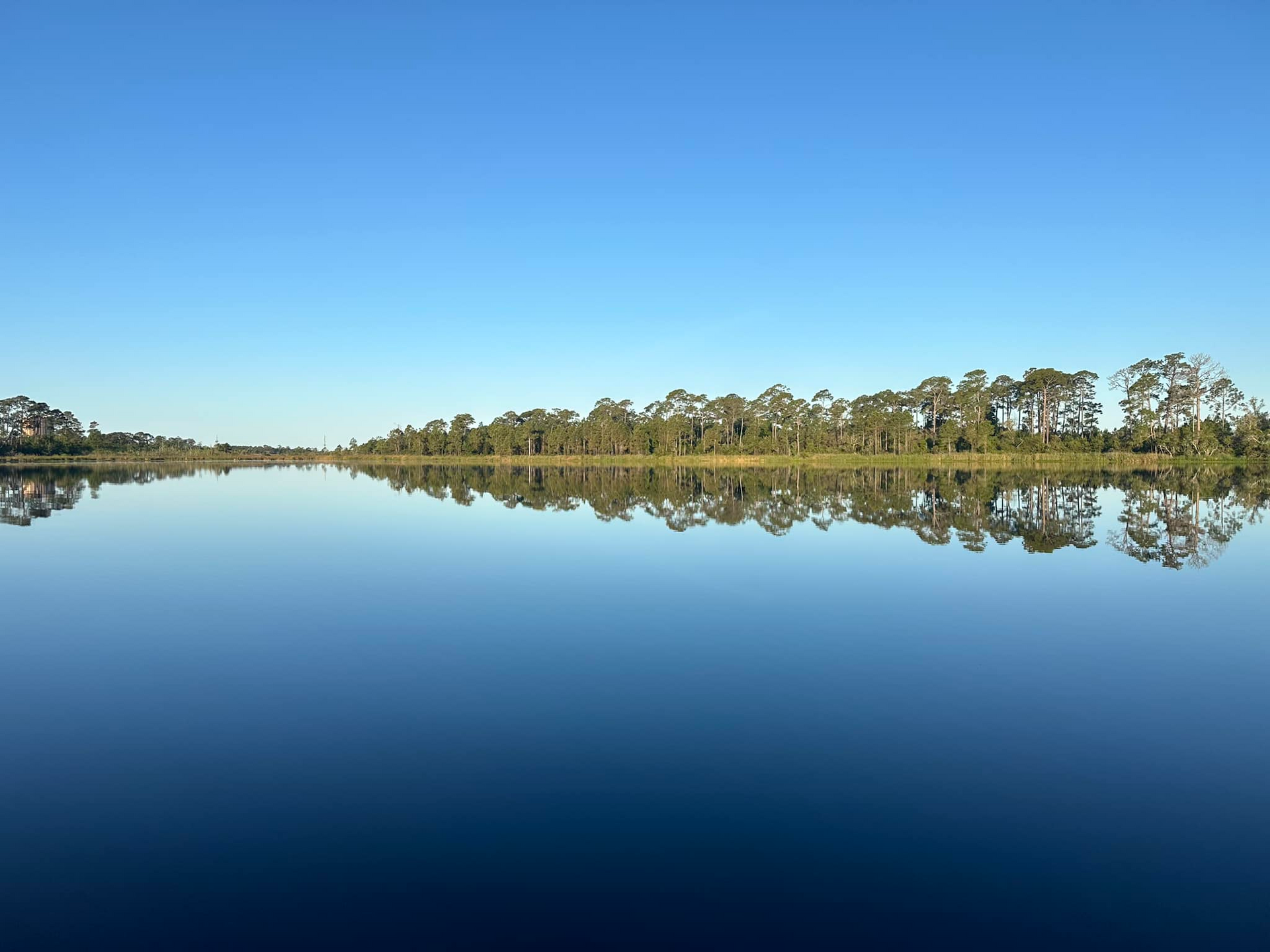A lake with trees on the shore and trees reflected in the water